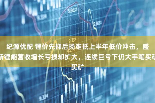 纪源优配 锂价先抑后扬难抵上半年低价冲击，盛新锂能营收增长亏损却扩大，连续巨亏下仍大手笔买矿